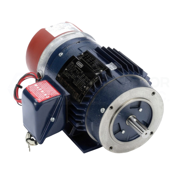 Image for LEESON Three Phase Inverter Vector Duty Brake motors