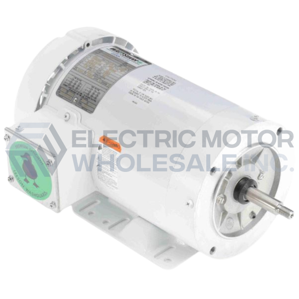 Image for LEESON Three Phase White Duck Washguard Epoxy Jet Pump Motors