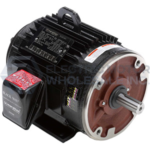 Image for Marathon Three Phase Inverter Duty Black Max Motors
