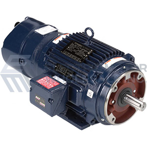 Image for Marathon Three Phase Inverter Duty Blue Max 2000 Brakemotors