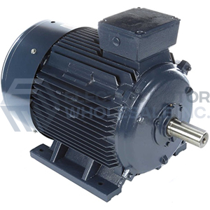Image for Marathon Three Phase IEC Aluminum Metric B3 Rigid Base Motors