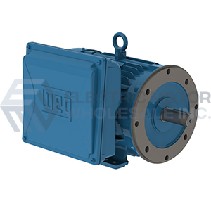 Image for WEG Single Phase TEFC Cast Iron C-Face Motors