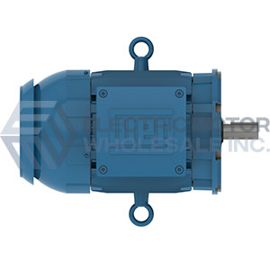 Image for WEG Three Phase Explosion Proof C-Face Footless Motors