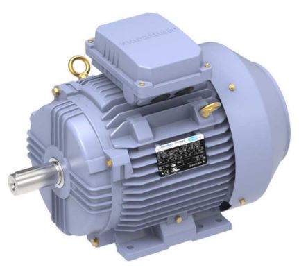 Image for TERRAMAX Three Phase IEC Metric B3 Rigid Base Motors