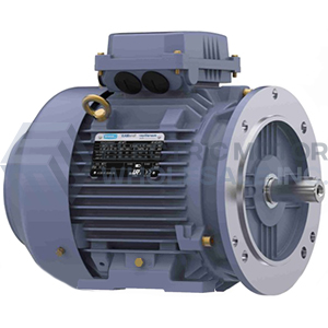 Image for TERRAMAX Three Phase IEC Metric B3/B5 Rigid Base Motors