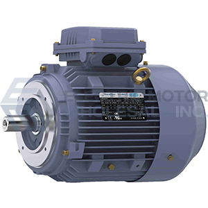 Image for TERRAMAX Three Phase IEC Metric B14 C-Face Motors