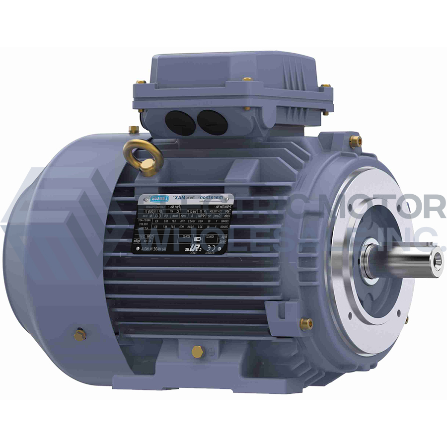 Image for TERRAMAX Three Phase IEC Metric B3/B14 Rigid Base Motors