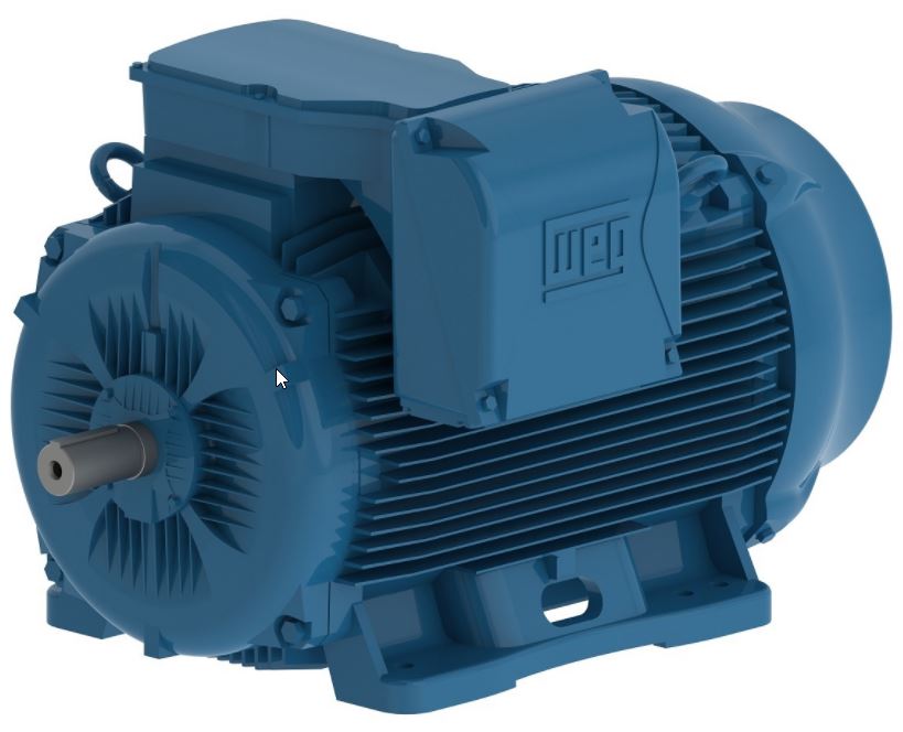 Image for WEG IEC W22 TRUE-METRIC Cast Iron Three Phase Motors