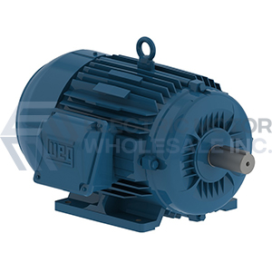 Image for WEG Three Phase Internal AEGIS SGR Motors