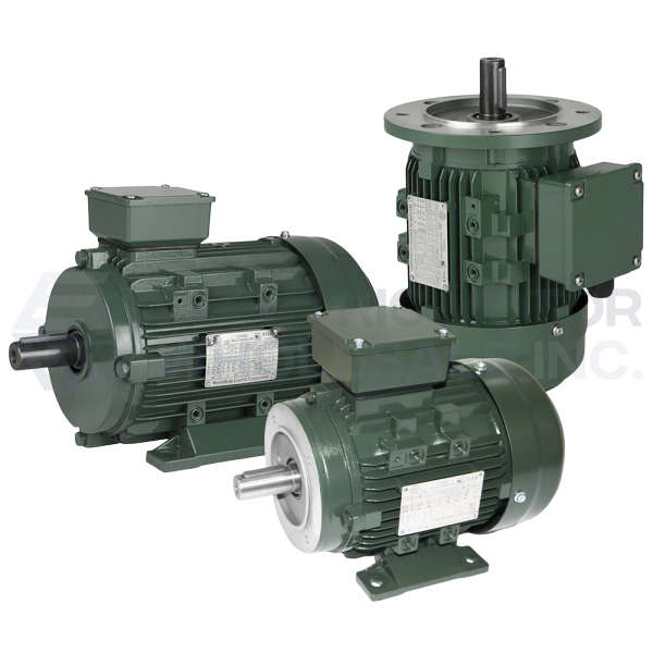 Image for Worldwide Three Phase IEC Metric Motors