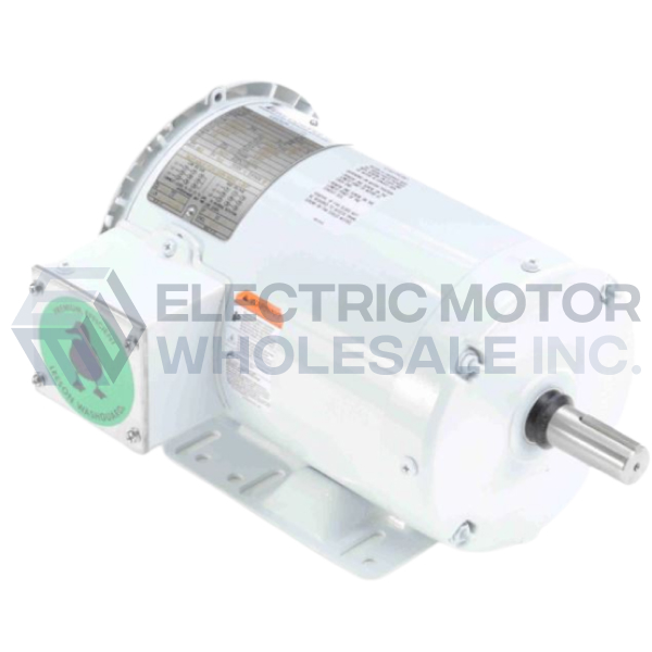 Image for LEESON Three Phase Epoxy Washguard Motors