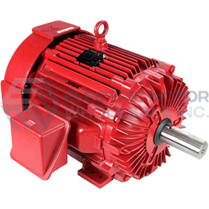 Image for Marathon Three Phase TEFC Fire Pump Motors