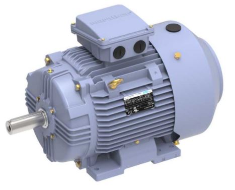 Image for Marathon Three Phase IEC Metric Motors