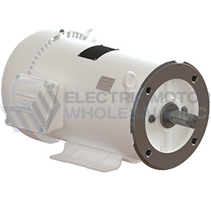 Image for WEG Three Phase Wash Down Motors