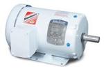 Image for Baldor Three Phase Epoxy Washdown Motors
