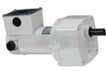 Image for LEESON PE350 - IP55 WASHGUARD 12VDC Parallel Shaft Gearmotor