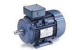Image for LEESON Three Phase IEC Metric Motors
