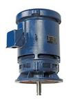 Image for Marathon Three Phase DP Vertical Solid Shaft P-Base Motors