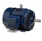 Image for Marathon Three Phase Two Speed Cooling Tower Motors