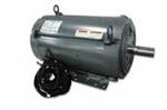 Image for LEESON Single Phase DPAO Tobacco Barn Motors