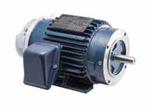 Image for LEESON Three Phase TEFC High Cycle Brakemotors