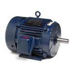 Image for Marathon Three Phase Totally Enclosed Globetrotter Motors