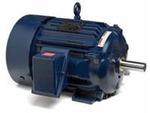 Image for Marathon Three Phase XRI IEEE-841 Blue Chip Automotive Duty Motors