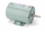 Image for LEESON Single Phase Milk Transfer Pump Motors