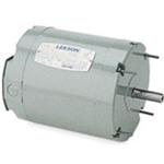 Image for LEESON Single Phase TEAO Hatchery and Incubator Fan Motors