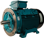 Image for Brook Crompton Discontinued Motors