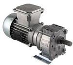 Image for BISON 246 SERIES AC 3PH PARALLEL GEARMOTORS
