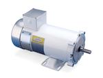 Image for LEESON WASHGUARD DC NEMA Frame Motors
