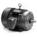 Image for LINCOLN Three Phase Signature Series TEFC Motors