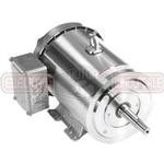 Image for LEESON Three Phase Washguard Stainless JM Pump Motors