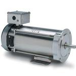 Image for LEESON PREMIUM DC STAINLESS NEMA Frame Motors