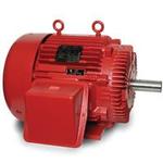 Image for LINCOLN Three Phase TEFC Fire Pump Motors