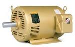 Image for Baldor Three Phase DP F2 Super-E Motors