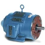 Image for LEESON Three Phase Inverter Duty Motors