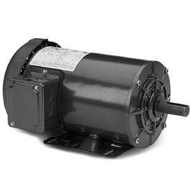 TEAD02_1.jpg