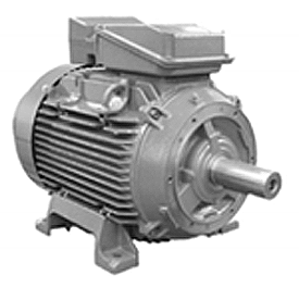60 HP, 1000 RPM, IEC 250M Three-Phase Motor