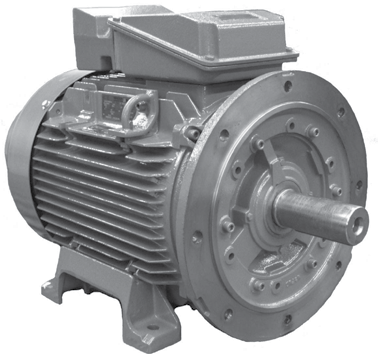 20HP BROOK CROMPTON 1500RPM W-DF160L 380-415V IEC 3PH MOTOR 287E213WC-04