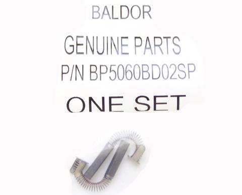 Baldor Brush Set BP5049AP01SP 