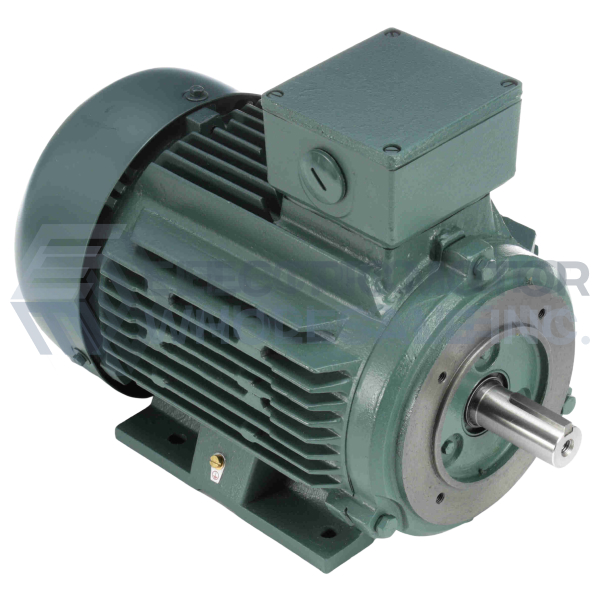 193366.60 LEESON 5.5HP 3PH PASSPORT IEC MOTOR C132T11FZ65 