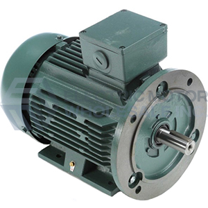 193339.60 LEESON 5.5HP 3PH IEC MOTOR C112T34FZ25