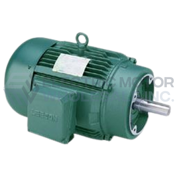 Image for 10HP LEESON 3540RPM 215TC TEFC 3PH PREMIUM MOTOR 171854.60