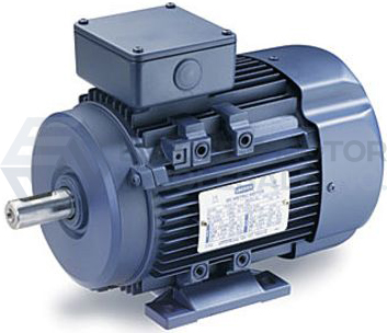 Image for 1/2HP LEESON 3435RPM D71 TEFC IP55 3PH B3 IEC MOTOR 192030.30