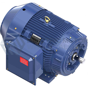 Image for 100HP MARATHON 1785RPM 405TC TEFC 3PH GLOBETROTTER MOTOR GT1246A