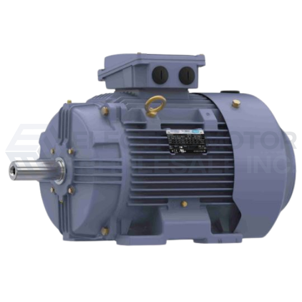 Image for 20HP MARATHON 1775RPM 160L IP55 3PH B3 TERRAMAX IEC MOTOR R337B