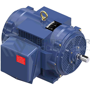 Image for 300HP MARATHON 3575RPM 447TS 460V DP 3PH FIRE PUMP MOTOR U541